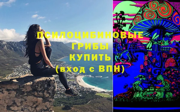 бутират Медвежьегорск
