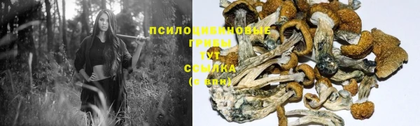 MESCALINE Медногорск